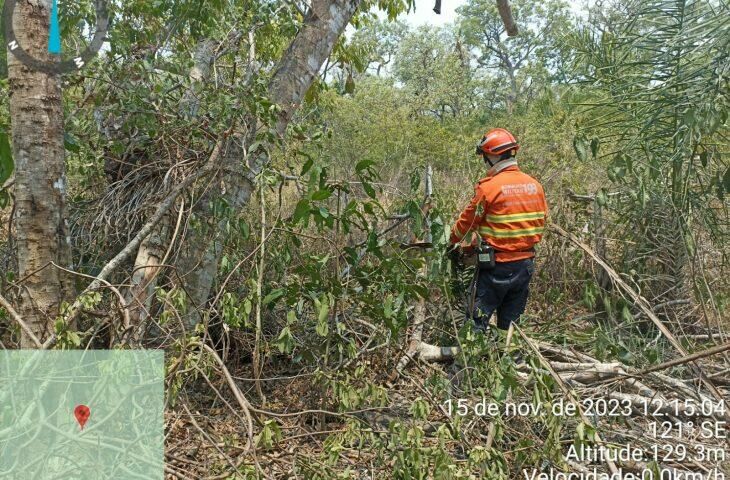 Imagem de compartilhamento para o artigo Bombeiros realizam força-tarefa para controlar incêndios no Pantanal da MS Todo dia